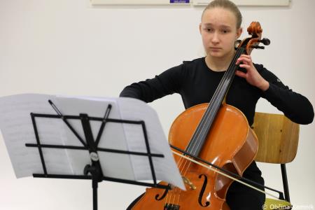 V prostorih občinske stavbe na ogled razstava literarnih in likovnih del na temo Častni občan Kamnika (32)